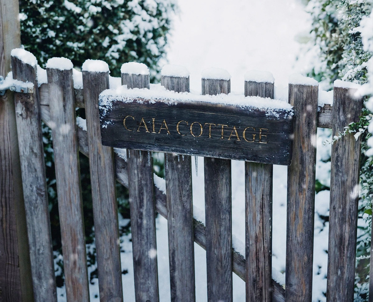 CAIA ADVENT CALENDAR