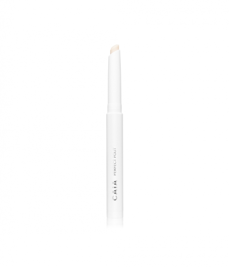 PERFECT POUT LIP PRIMER