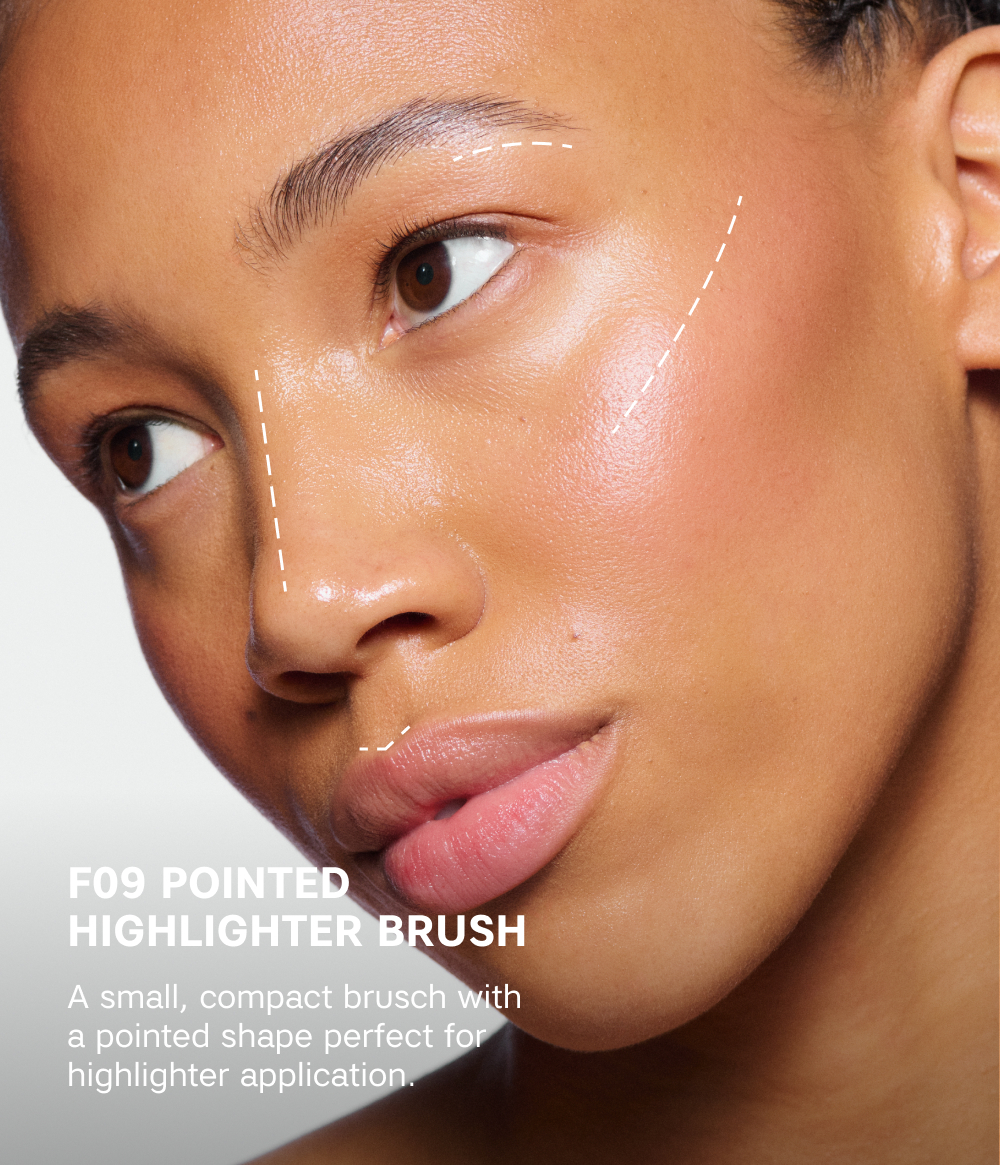 POINTED HIGHLIGHTER BRUSH F09 POINTED HIGHLIGHTER BRUSH F09