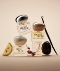 THE DISCOVERY COLLECTION