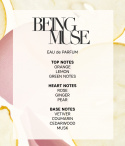 THE DISCOVERY COLLECTION